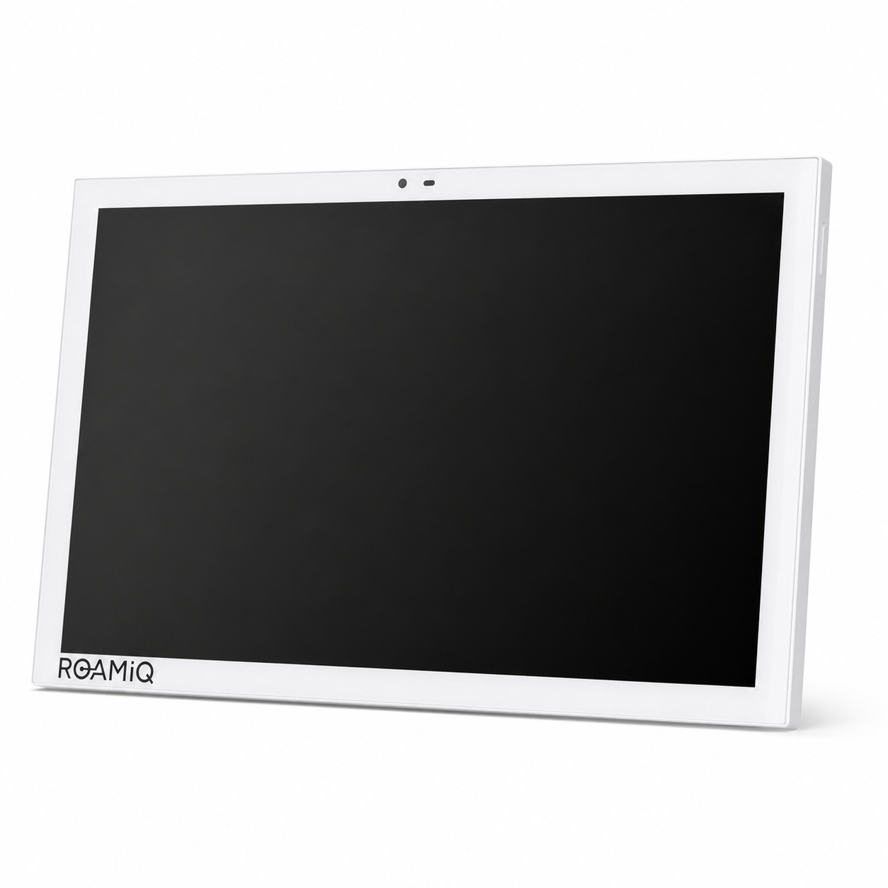 ROAMiQ Display Screen