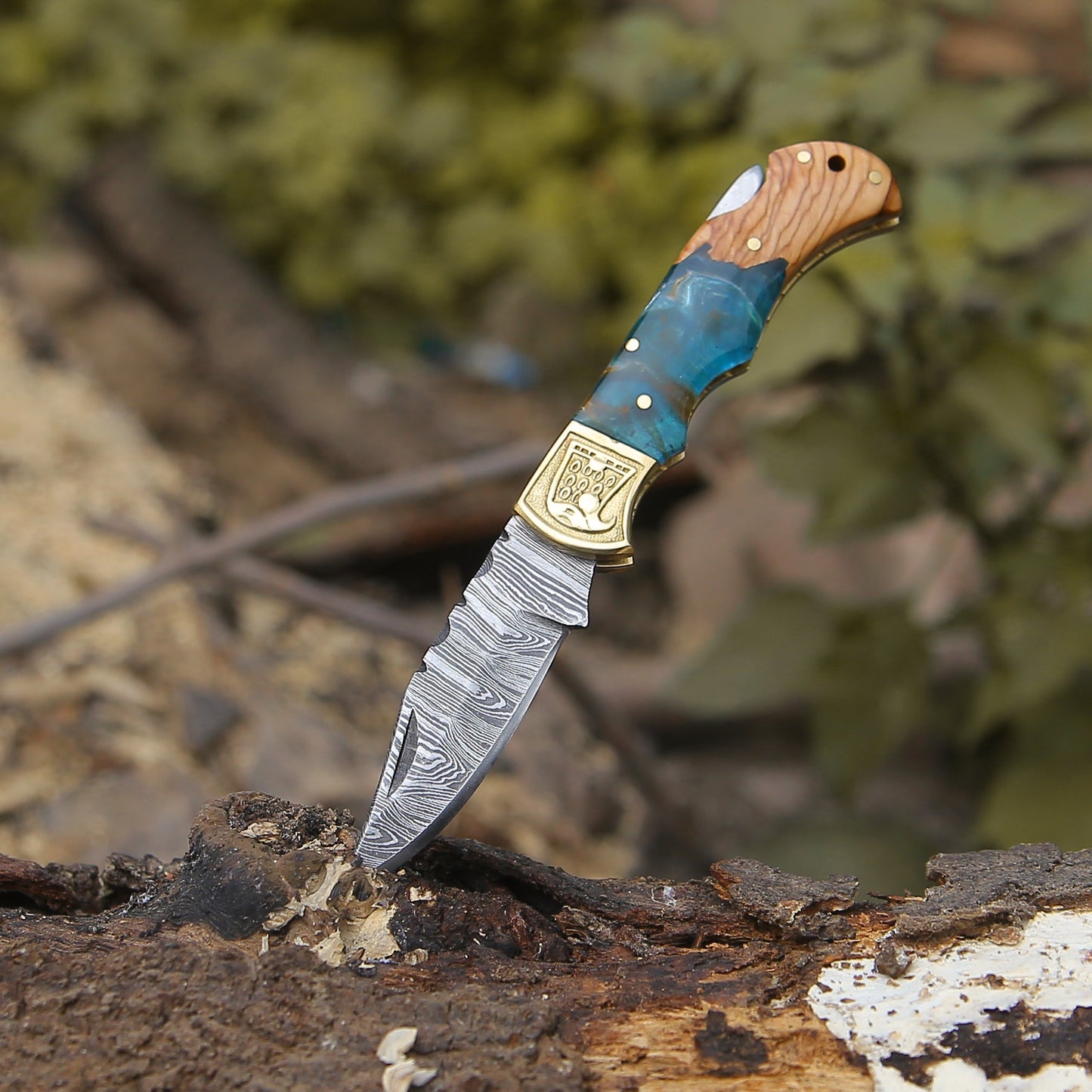 Perseus Damascus Pocket Knife with Exotic Olive Wood & Resin Handle