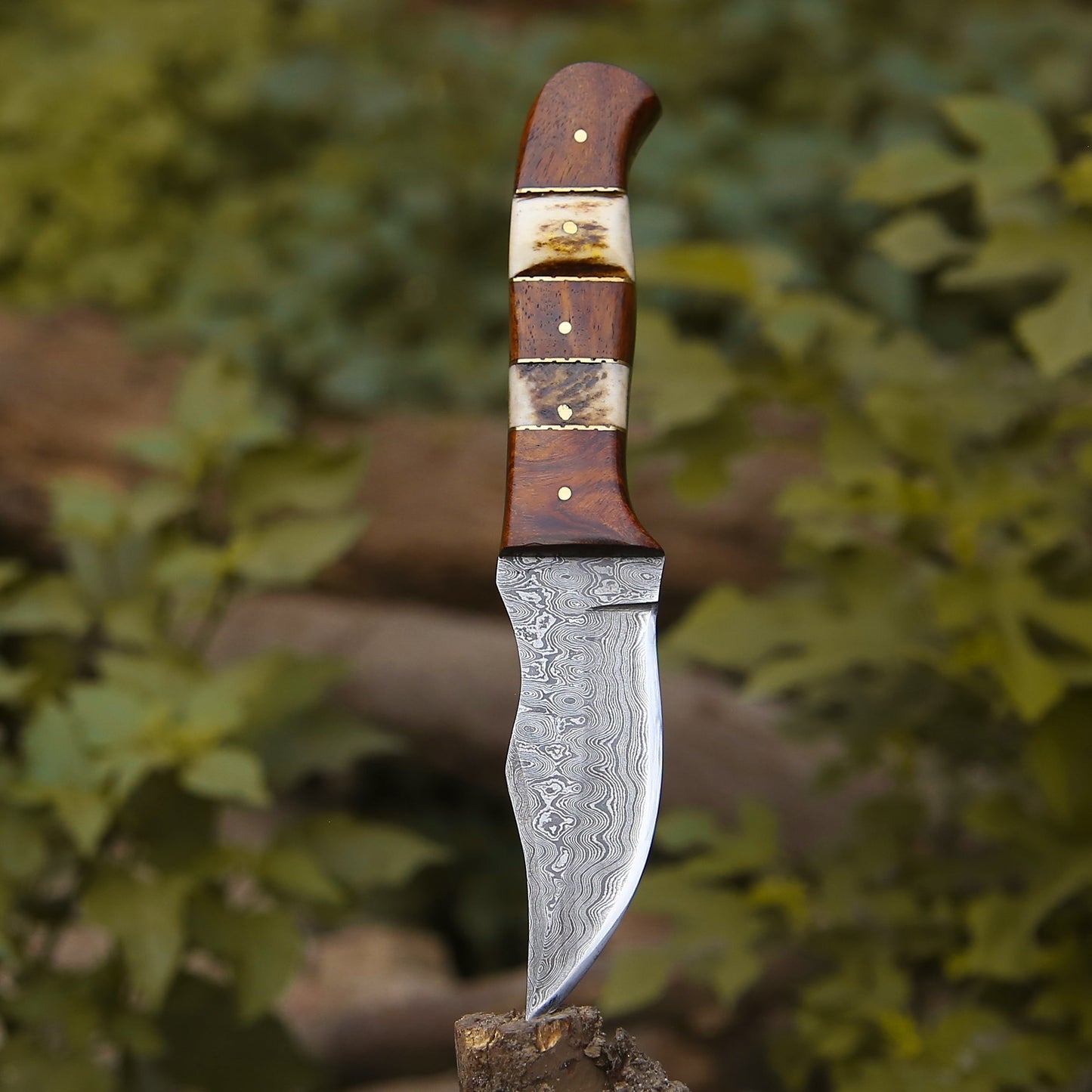 Mangler Damascus Hunting Knife with Rose Wood & Stag Horn Handle