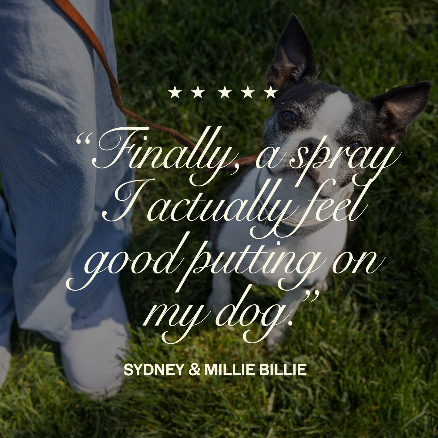 Happy Armor - Flea & Tick Topical Spray