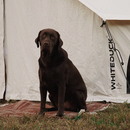 16.5' Avalon Bell Tent