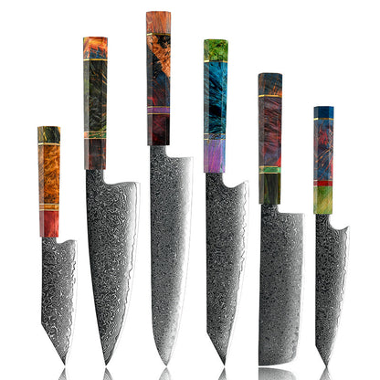 Spectrum Knife Set 6 Piece VG10 Damascus Steel with Exotic tie-dye-Stained Olive Burl Wood Handle