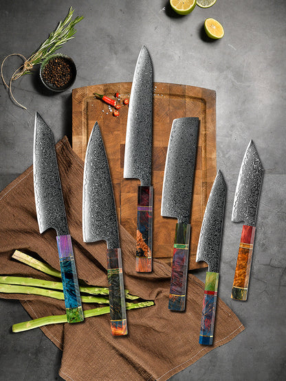 Spectrum Knife Set 6 Piece VG10 Damascus Steel with Exotic tie-dye-Stained Olive Burl Wood Handle