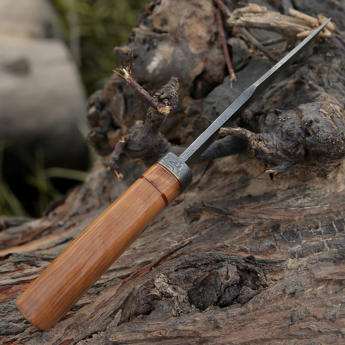 Avatar Damascus Hunting Knife with Exotic Olive Wood Handle