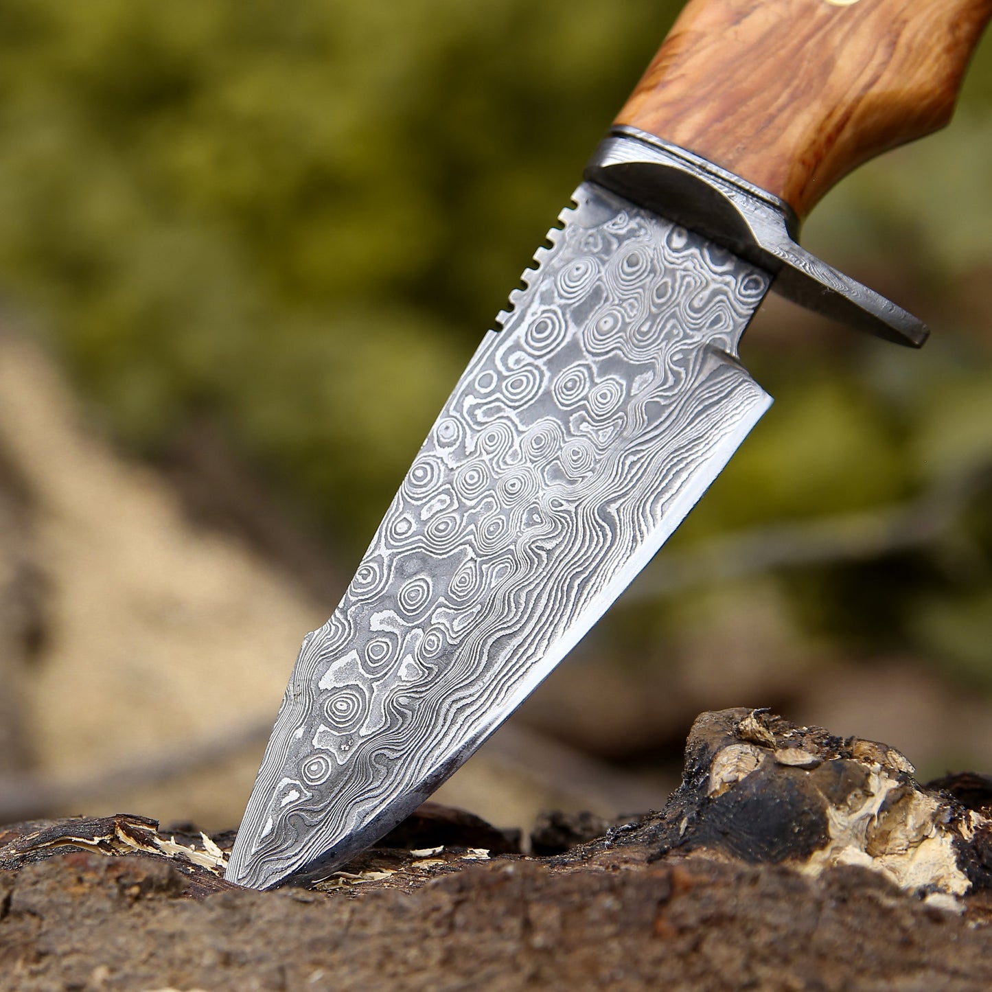 Outrider Damascus Custom Hunting Knife with Exotic Olive Wood Handle