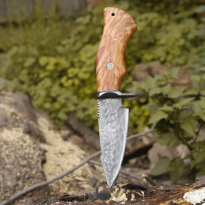 Outrider Damascus Custom Hunting Knife with Exotic Olive Wood Handle