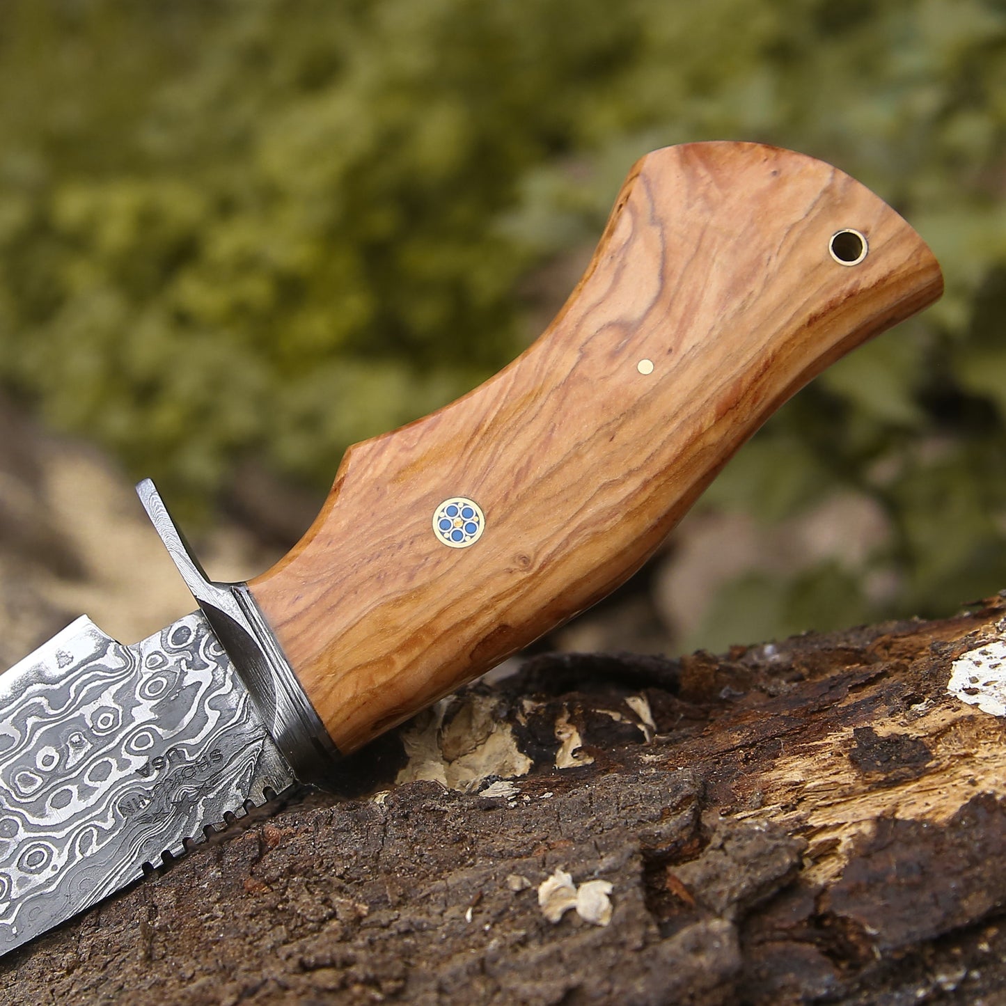 Outrider Damascus Custom Hunting Knife with Exotic Olive Wood Handle