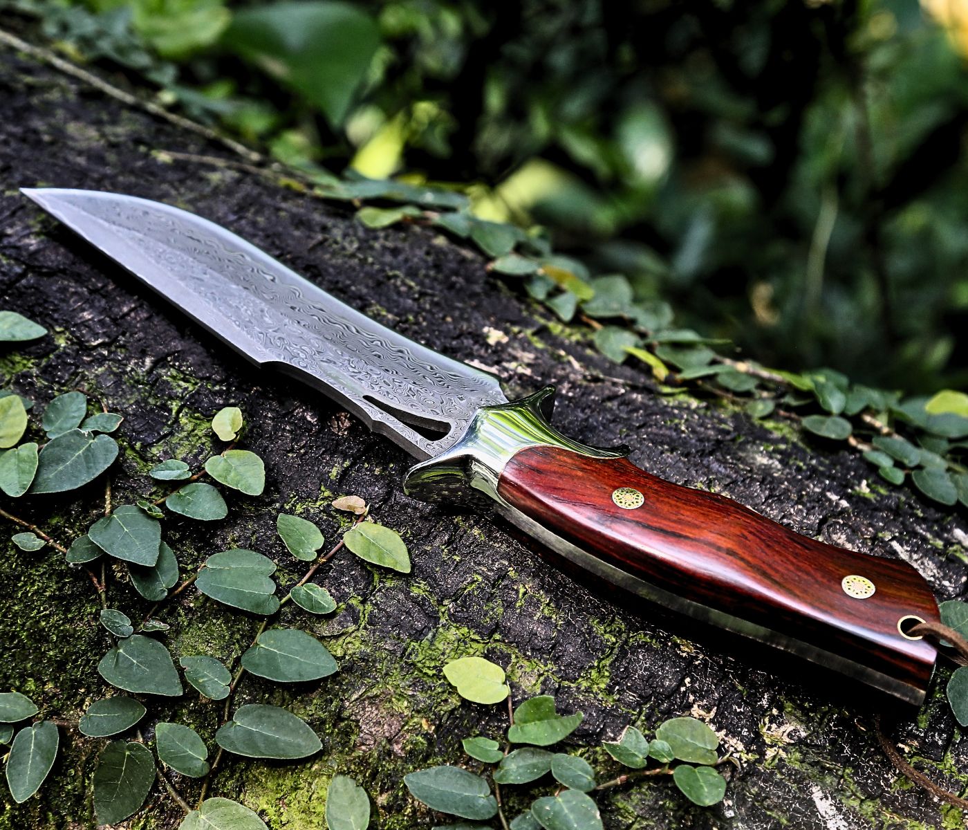 Velar Japanese Hunting Knife with VG-10 Damacus Blade and Exotic Red Sandal Wood Handle