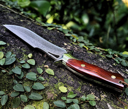 Velar Japanese Hunting Knife with VG-10 Damacus Blade and Exotic Red Sandal Wood Handle