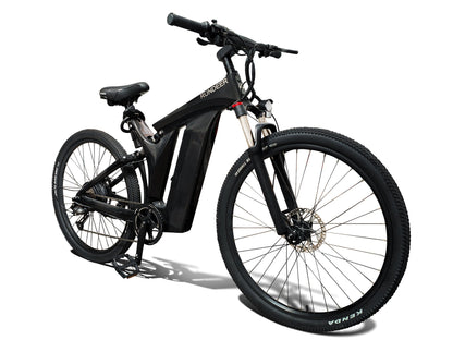 Rundeer Starry Sky 3K Carbon Fiber Electric Bike