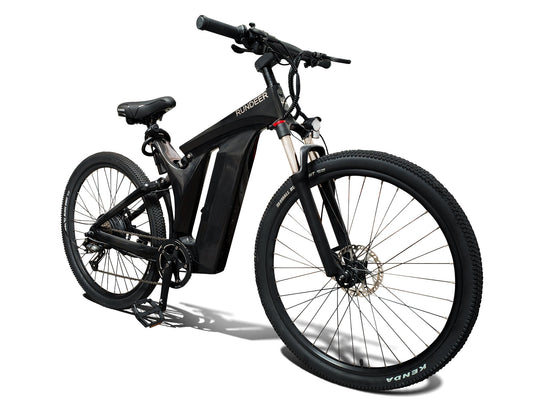 Rundeer Starry Sky 3K Carbon Fiber Electric Bike
