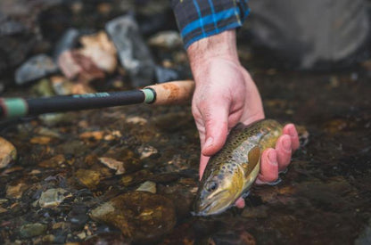 Teton Zoom Tenkara Rod