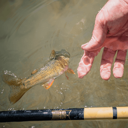 Beartooth Tenkara Rod