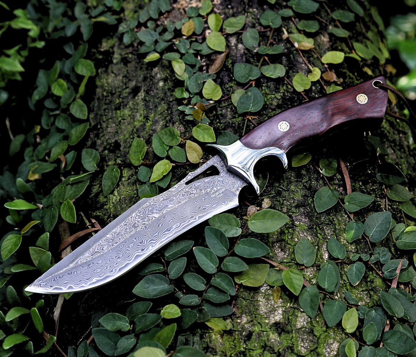 Velar Japanese Hunting Knife with VG-10 Damacus Blade and Exotic Red Sandal Wood Handle