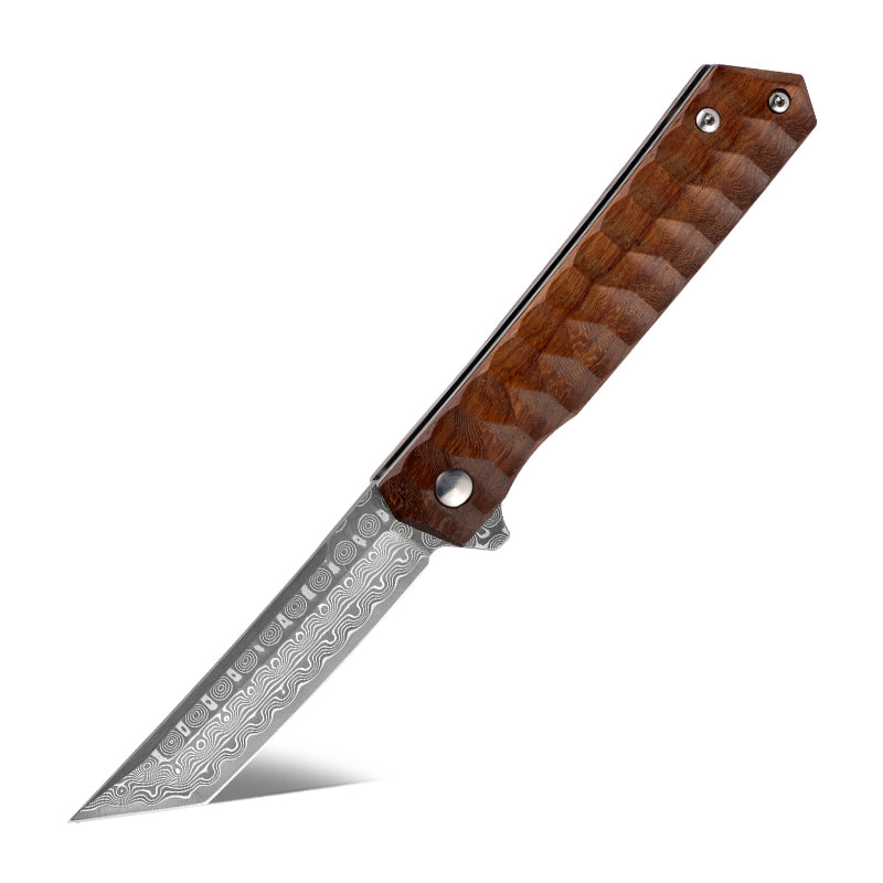 Lucifer VG10 Handmade Tanto Knife with Exotic Rose Wood Handle
