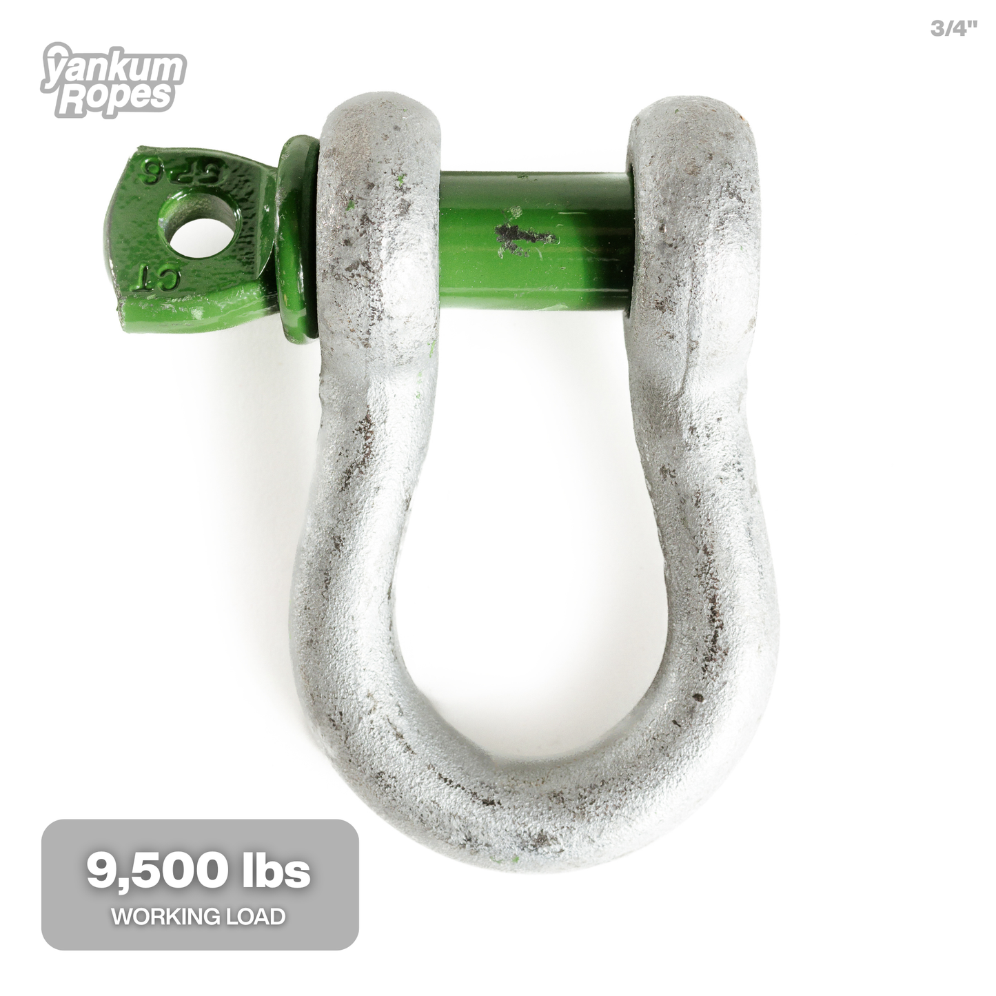 Green Pin Bow Shackle SC