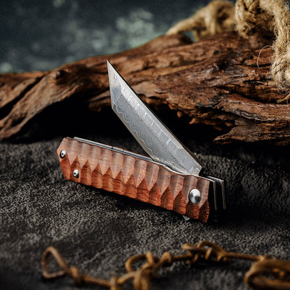 Lucifer VG10 Handmade Tanto Knife with Exotic Rose Wood Handle