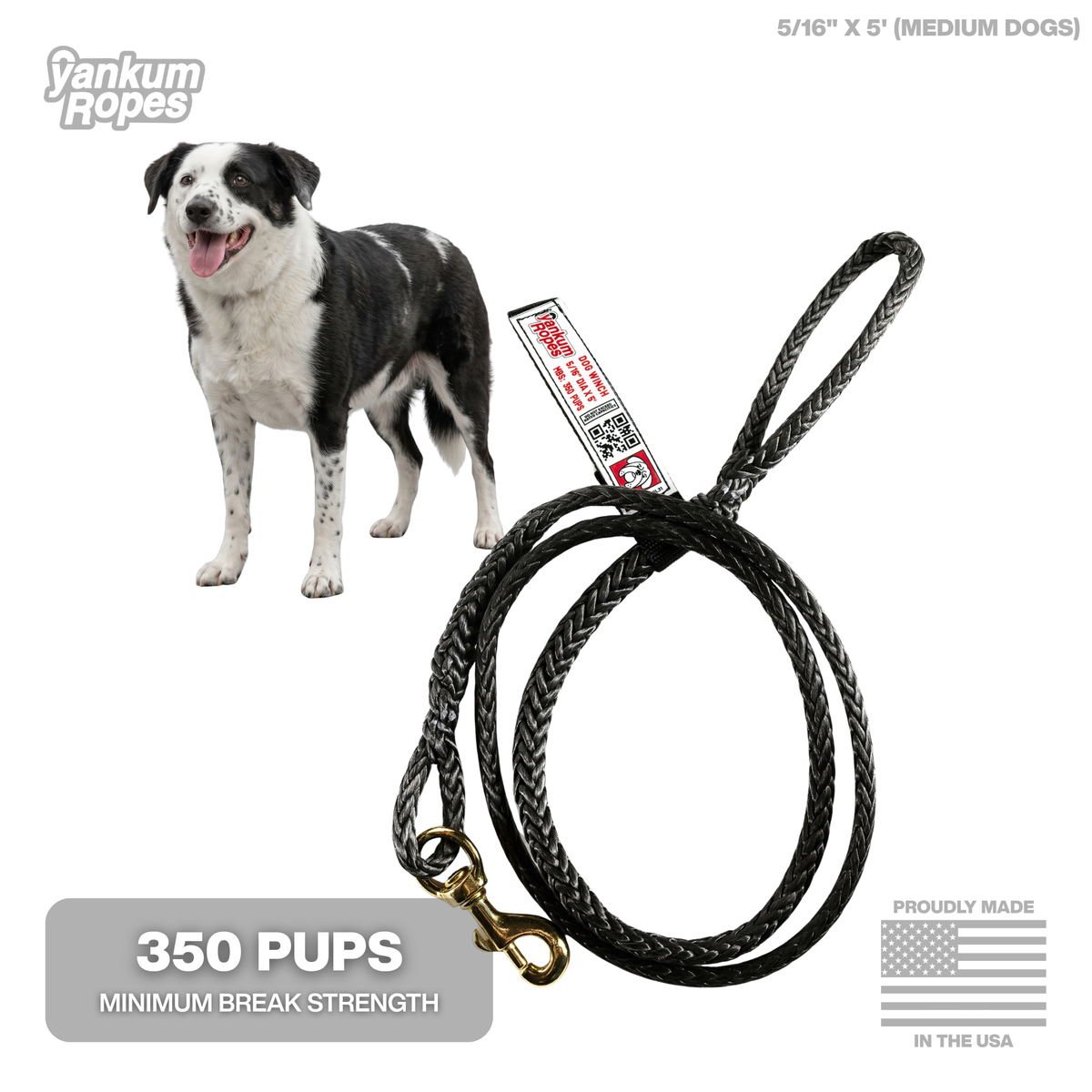 Winch Line Dog Leash