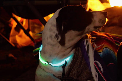 Infinity Tool™ Modular Straps 2.0