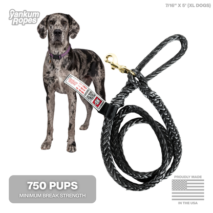Winch Line Dog Leash