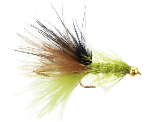 Bead Head Tri-Color Wooly Bugger, Size 10 | Qty. 6 | Wild Water Fly Fishing