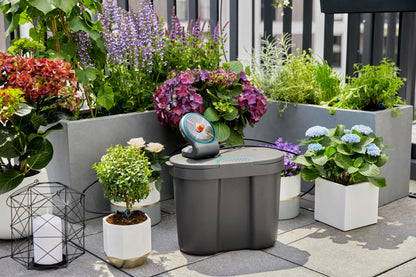 AquaBloom Automatic Plant Watering System