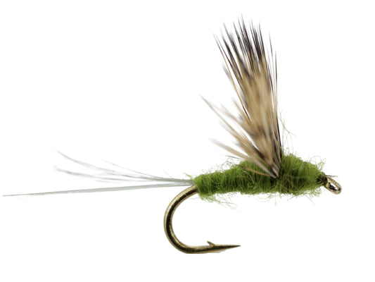 Baetis Comparadun, Size 16 | Qty. 6 | Wild Water Fly Fishing