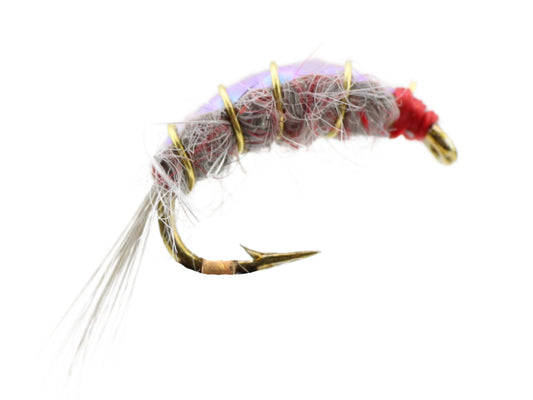 Gooey Big Horn Scud, Size 16 | Qty. 6 | Wild Water Fly Fishing