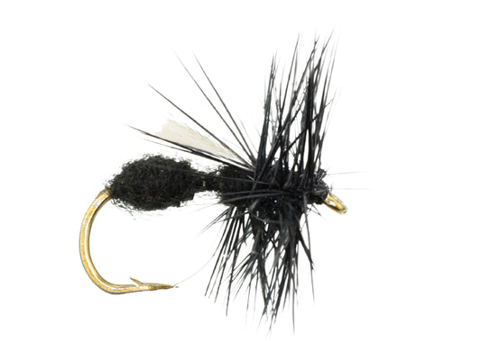 Winged Black Ant, Size 12 | Qty. 6 | Wild Water Fly Fishing