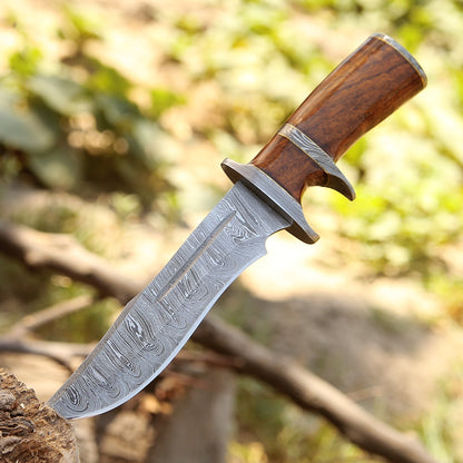 Raider Damascus Steel Bowie Knife with Exotic Rose Wood Handle & Sheath