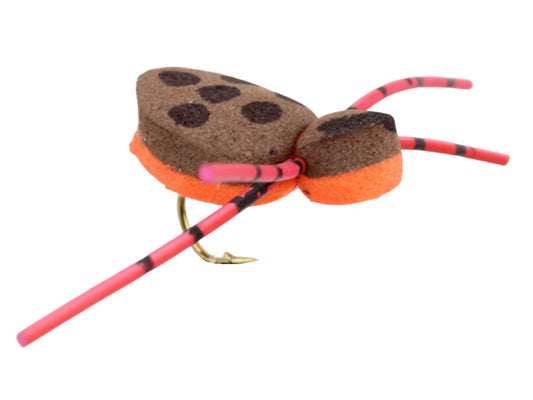 Foam Spider, Size 12 | Brown and Orange | Qty. 6 | Wild Water Fly Fishing