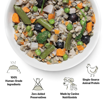 100% Human-Grade Dog Food