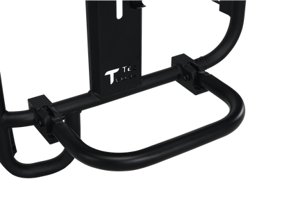 Sprinter Two-in-one Tire Ladder Carrier