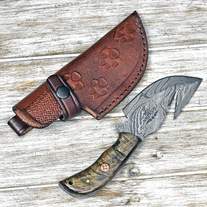 Master Gut Hook Knife with Ram Horn and Turquoise Handle