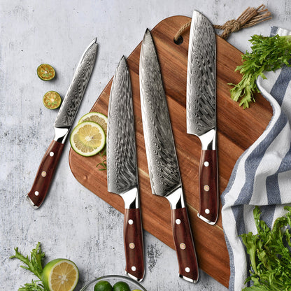 Splendor Knife Set 4 Piece VG10 Damascus Steel with Pakkawood Handle & Sheath
