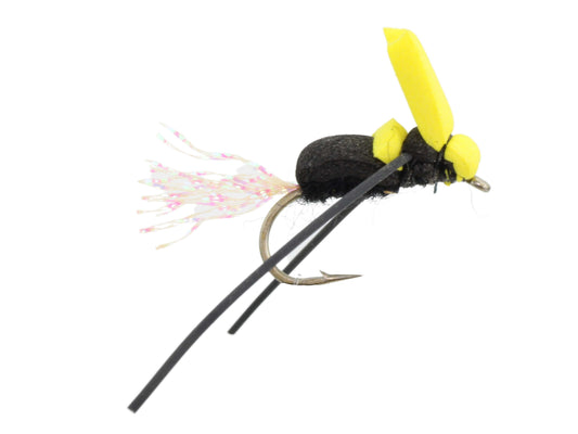 Foam Bumblebee, Size 12 | Qty. 6 | Wild Water Fly Fishing