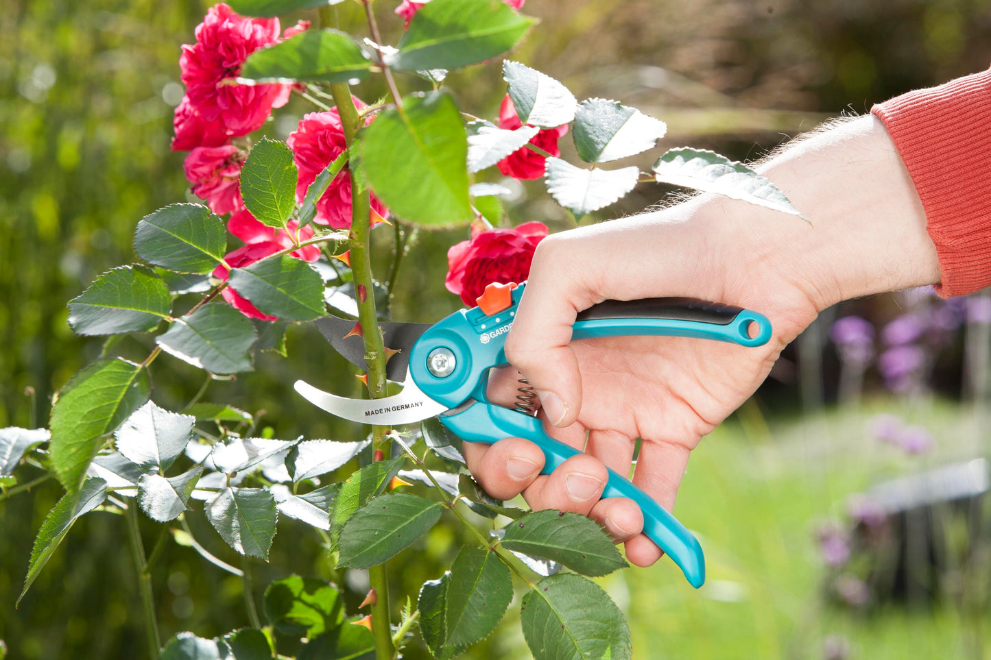 Garden Secateurs B/S-M
