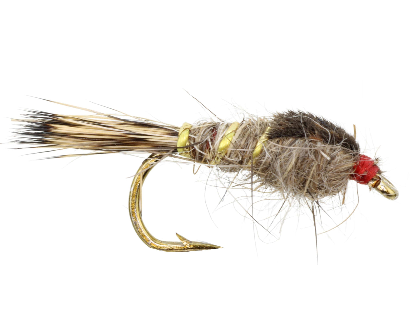 Gold Ribbed Hare's Ear Nymph, Size 12 | Qty. 6 | Wild Water Fly Fishing