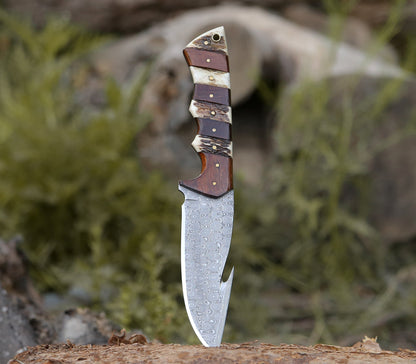 Sentinel Gut Hook Hunting Knife With Stag Horn & Exotic Rose Wood Mosaic Handle