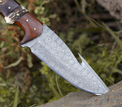 Sentinel Gut Hook Hunting Knife With Stag Horn & Exotic Rose Wood Mosaic Handle