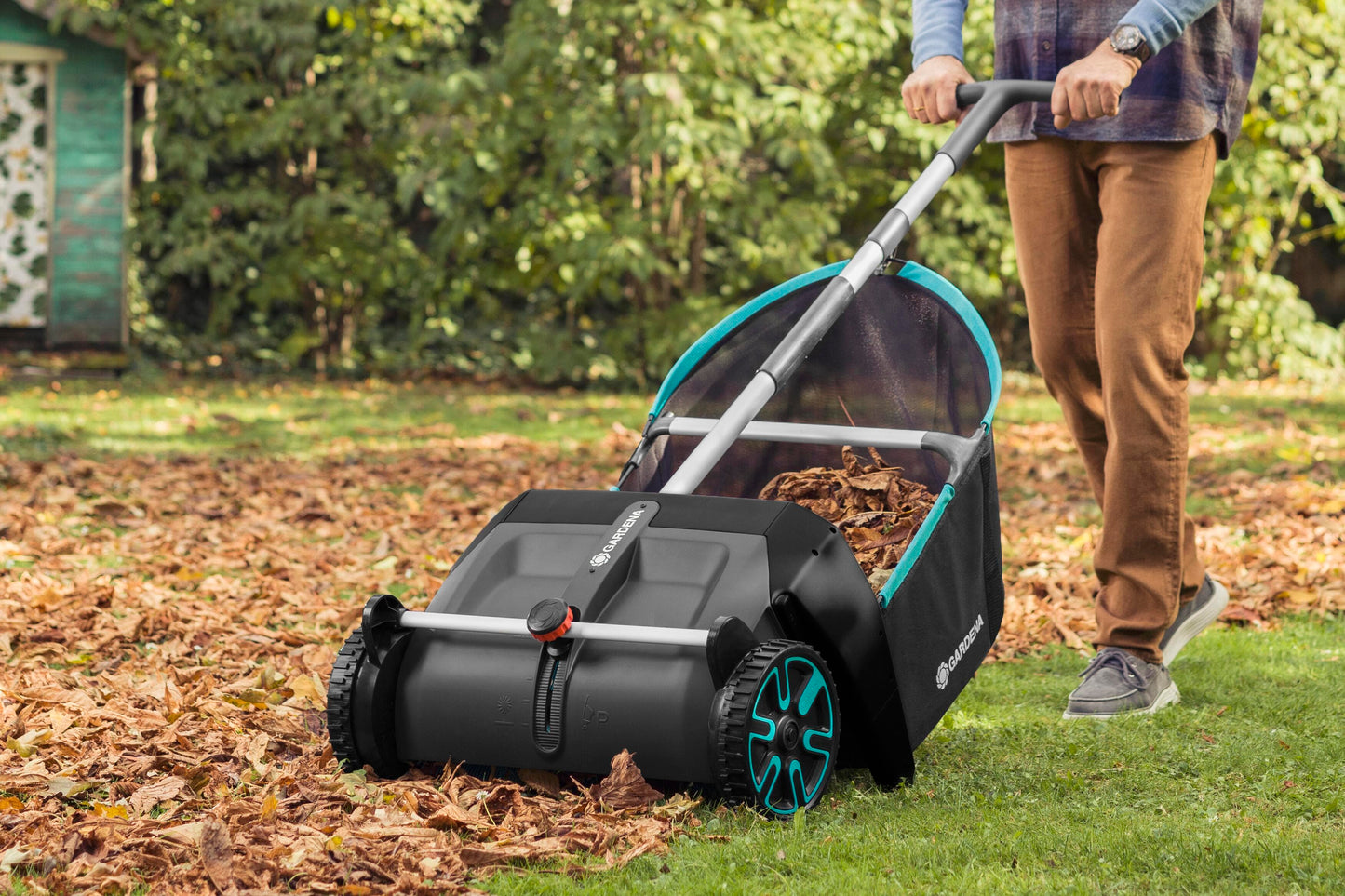 Lawn and Leaf Collector