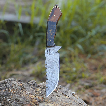 Morph Damascus Knife with Exotic Rose Wood & Resin Handle