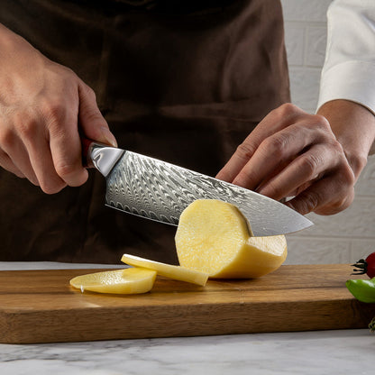 Splendor Knife Set 4 Piece VG10 Damascus Steel with Pakkawood Handle & Sheath