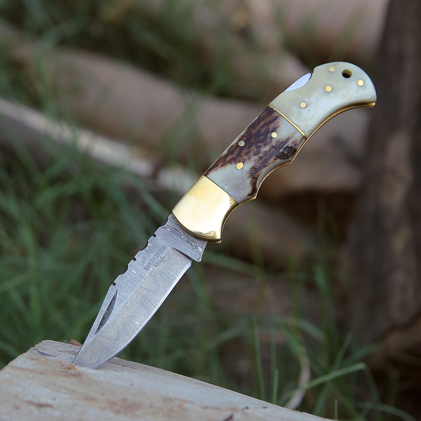 Antler Edge Damascus Pocket Knife with Staghorn & Bone Handle