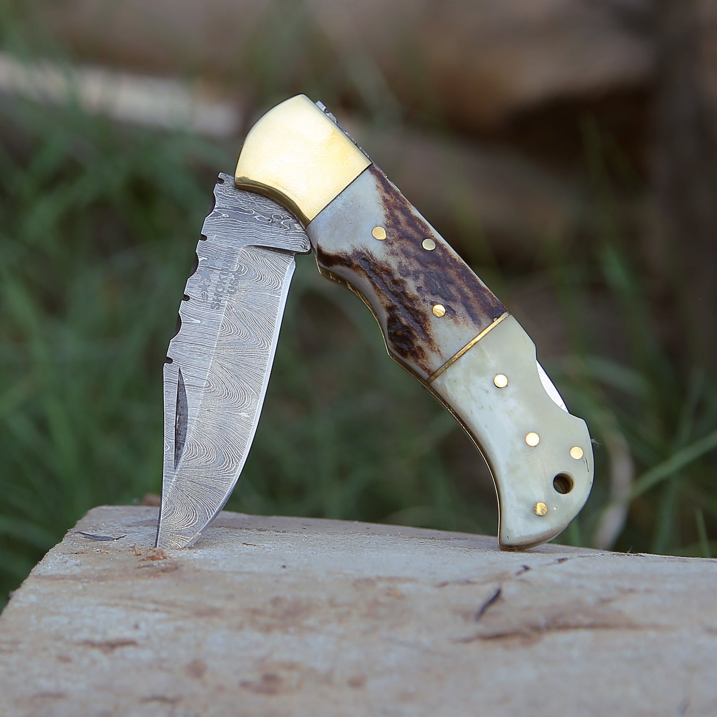 Antler Edge Damascus Pocket Knife with Staghorn & Bone Handle