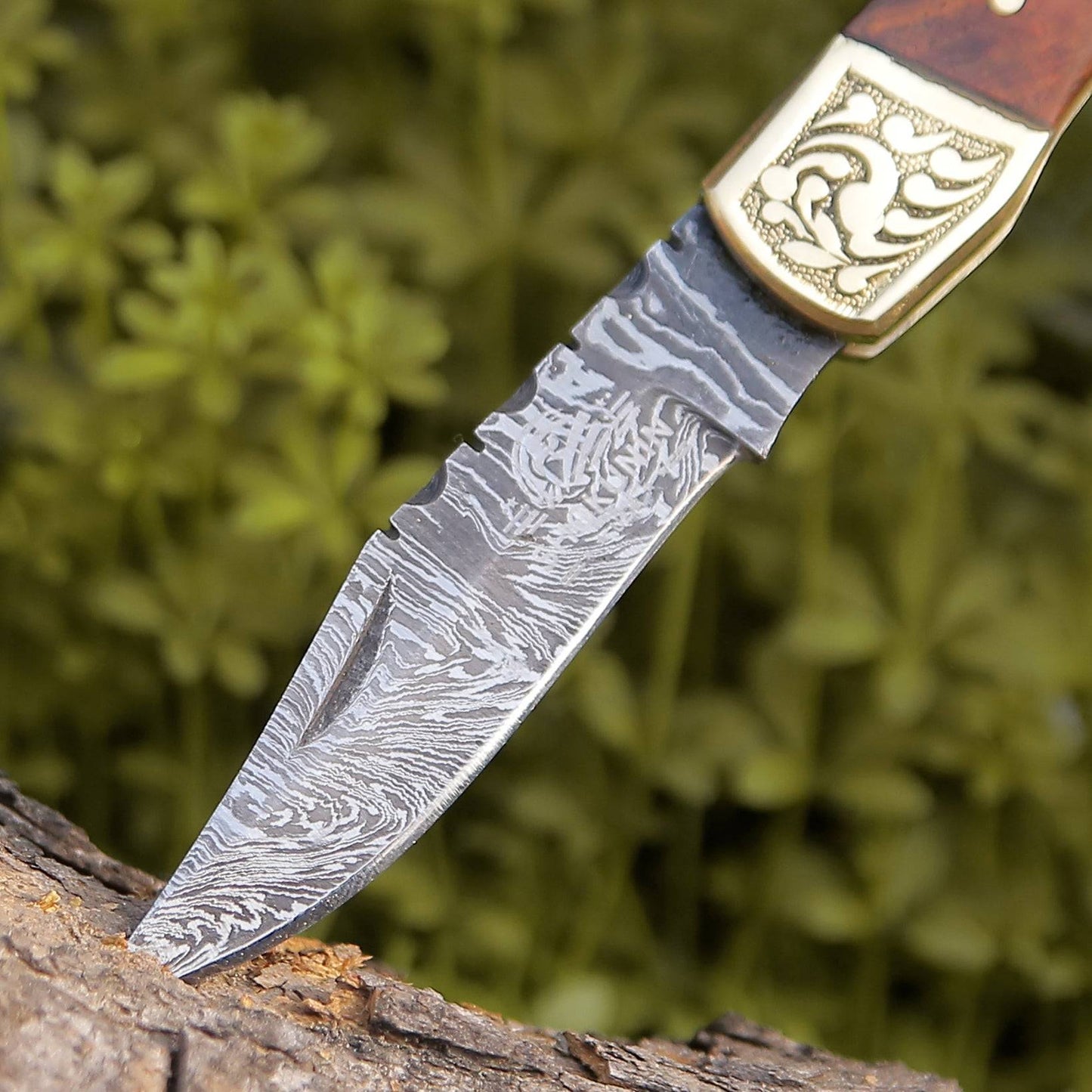 Expedition Gentlemans Damascus Pocket Knife with Pakka Wood Handle