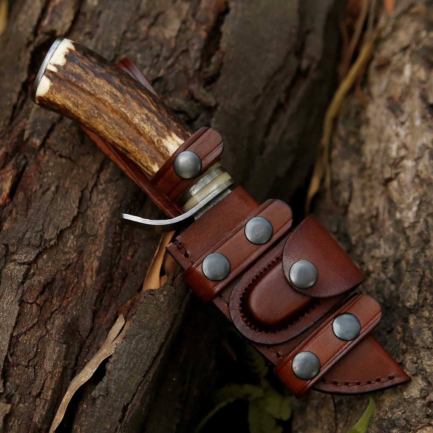 Serpent Damascus Hunting Knife with Antler Handle