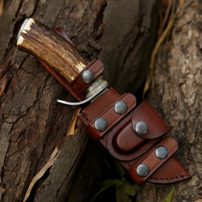 Serpent Damascus Hunting Knife with Antler Handle