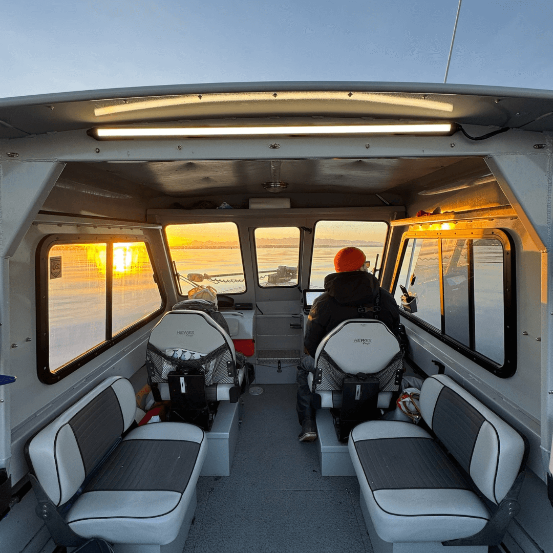 Garmin PowerSwitch + Kingpin Scene Lighting