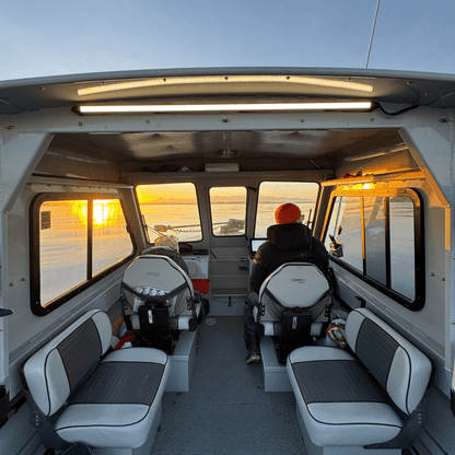 Garmin PowerSwitch + Kingpin Scene Lighting